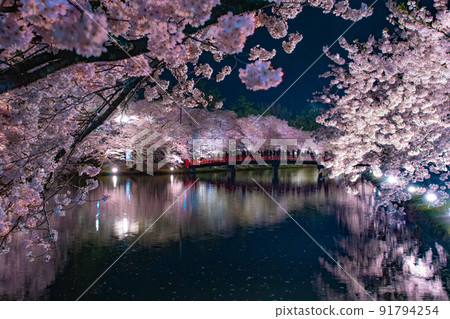 Hirosaki Park Night View Shunyobashi Night Cherry Blossom Reflection Hirosaki Park, Hirosaki City, Aomori Prefecture 91794254