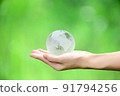 Crystal globe in hand with green background, concept for eco friendly business, green energy and climate change. 91794256