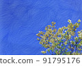 山茱萸和藍天 91795176