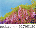 Wister和藍天 91795180