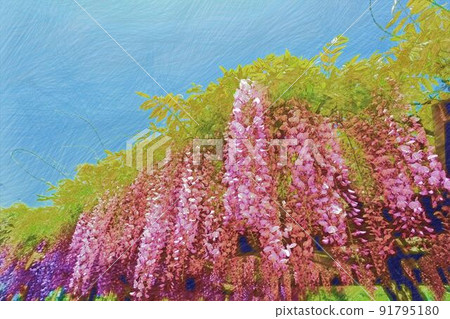 Wister和藍天 91795180