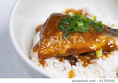 鯖魚味噌碗佐蔥照片素材 鯖魚味噌碗佐蔥照片素材 91795882
