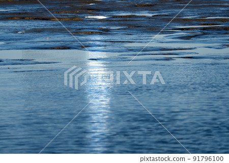 多摩川的水邊大田區 多摩川的水邊大田區 91796100