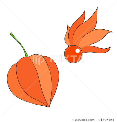 Hozuki (black line) 91796563