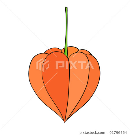 Hozuki (black line) 91796564