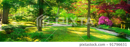 japanese garden in The Hague 91796631