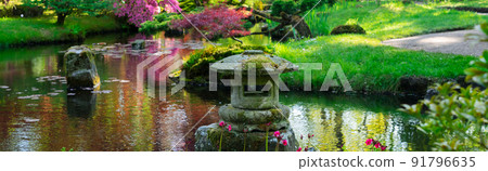 japanese garden in The Hague 91796635
