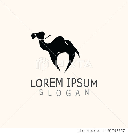 Vector Camel icons and logo design elements labels template vintage Vector Camel icons and logo design elements labels template vintage 91797257
