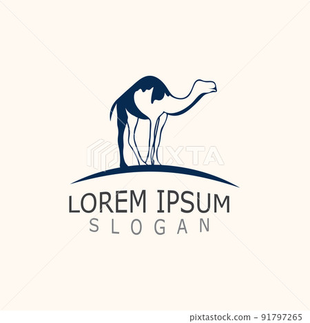 Vector Camel icons and logo design elements labels template vintage 91797265