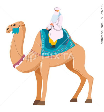 Sheikh on camel, Arabic country transport fun 91797489