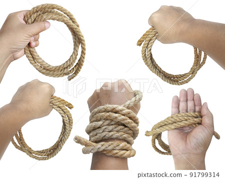Man's hand holding on to the rope. On a white background 91799314