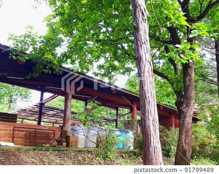 Behind the kitchen 91799489