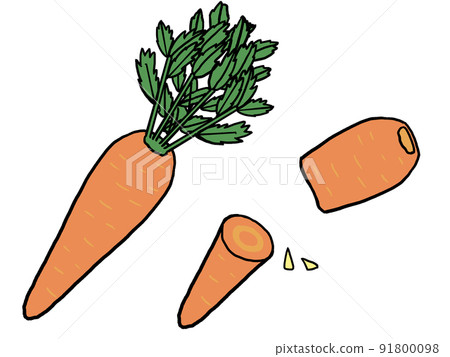 Illustration of carrot Illustration of carrot 91800098