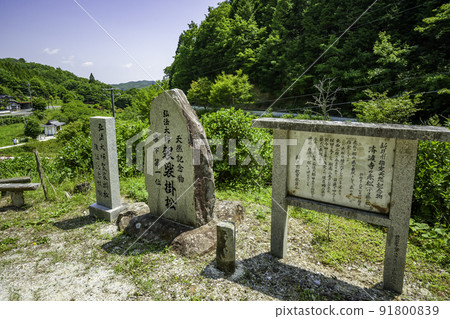 Saidoji Temple Kasaya Kakematsu, Niimi City, Okayama Prefecture 91800839