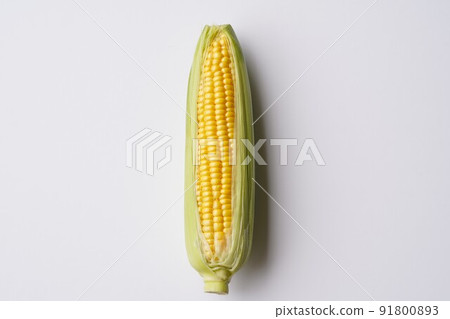 1 corn 91800893