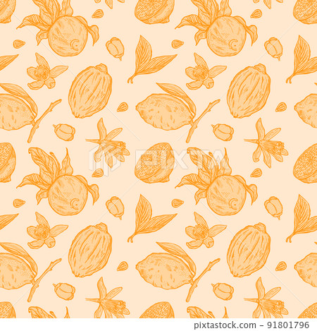 Engraving lemons seamless pattern. Vintage background with whole lemon, sliced, half, leaf, flowers and seed in hand drawn style. 91801796