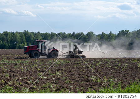 Tractor harrows the field. Seagulls and crows follow the tractor in search of insects. The bright sun illuminates the agricultural field 91802754
