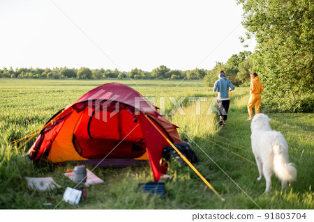 Young couple play with their dog at campsite 91803704