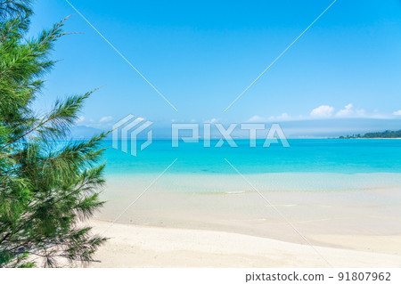 The sea of Okinawa The sea of Okinawa 91807962