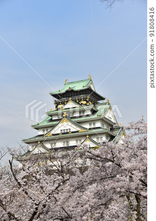 日本大阪府春天大阪城櫻花盛開、藍天和宏偉的城堡塔 日本大阪府春天大阪城櫻花盛開、藍天和宏偉的城堡塔 91808416