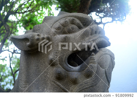 Komainu of Osaka Wakamiya Shoko Inari Shrine-2 Komainu of Osaka Wakamiya Shoko Inari Shrine-2 91809992