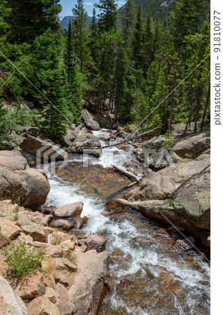 River in Rocky Mountain National Park River in Rocky Mountain National Park 91810077