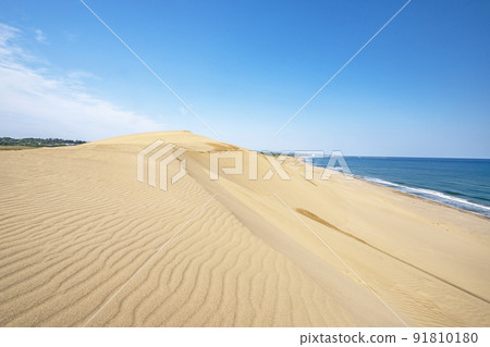 沙塵暴風紋(鳥取沙丘) 沙塵暴風紋(鳥取沙丘) 91810180