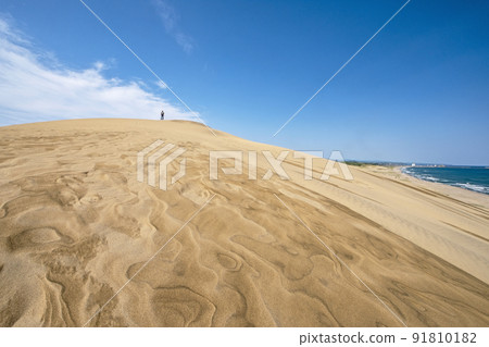 沙塵暴風紋（鳥取沙丘） 91810182