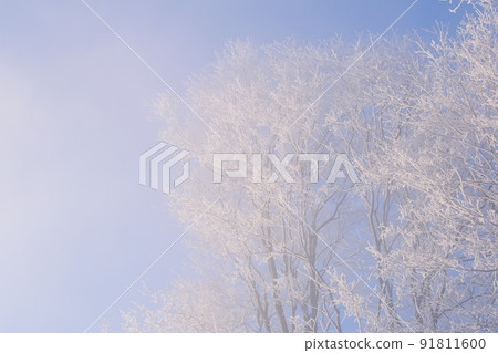 Steam and hoarfrost of Kawayu Onsen 91811600