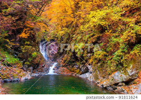 Ojiragawa Canyon(秋季):Sengabuchi Ojiragawa Canyon(秋季):Sengabuchi 91811624