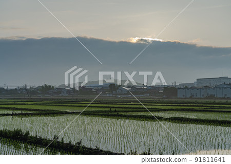 Komakiyama distant view after rice planting Komakiyama distant view after rice planting 91811641