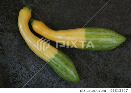 Tropical vegetables, two-tone yellow zucchini Tropical vegetables, two-tone yellow zucchini 91813337