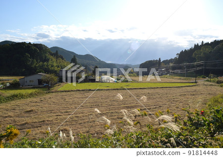 伊東博文發祥地的田園風光(山口縣光市) 伊東博文發祥地的田園風光(山口縣光市) 91814448