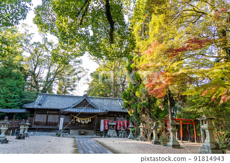 Kameyama City, Mie Prefecture, the precincts of Kameyama Shrine with beautiful autumn colors 91814943