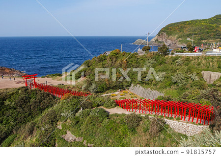 山口縣/新綠元乃隅神社（鳥居） 91815757