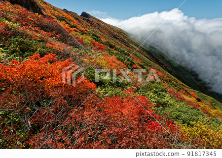 Tanigawadake ridgeline of autumn leaves that clouds spring 91817345