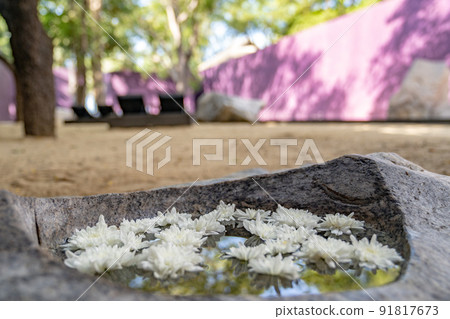 white flowers floating on the water in the big stone in the zen purple garden. 91817673