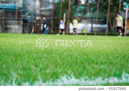 grass in the football field grass in the football field 91817686