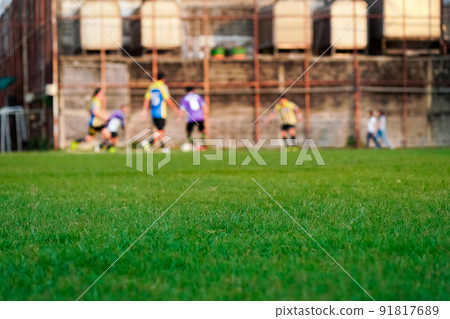 grass in the football field grass in the football field 91817689