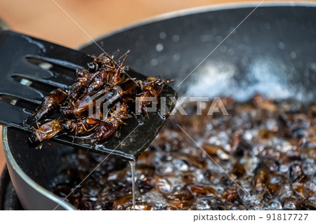 Southeast Asia, Thailand fried crickets are cooked by oil in the pan with outdoor portable picnic gas stoveat. Southeast Asia, Thailand fried crickets are cooked by oil in the pan with outdoor portable picnic gas stoveat. 91817727