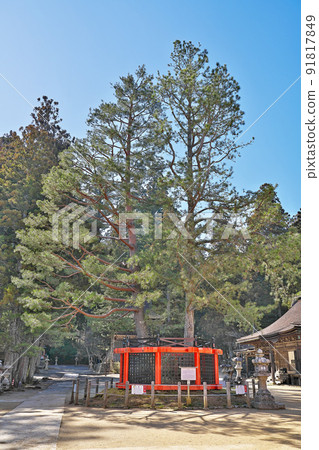 [Tokonoyama Danjosan Mitakanomatsu] Takanoyama, Takano Town, Ito-gun, Wakayama Prefecture 91817849