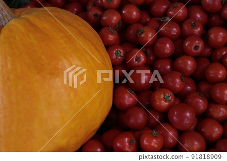 An ensemble of pumpkins and cherry tomatoes with a beautiful contrast of yellow and red 91818909
