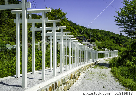 岡山縣新見市西道寺千本鳥居 岡山縣新見市西道寺千本鳥居 91819918