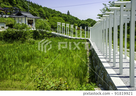 岡山縣新見市西道寺千本鳥居 岡山縣新見市西道寺千本鳥居 91819921