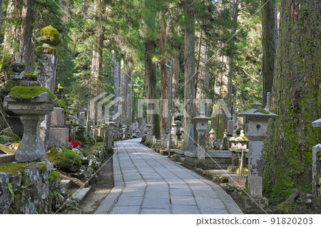 [Koyasan Okunoin] Koyasan, Koya-cho, Ito-gun, Wakayama Prefecture 91820203