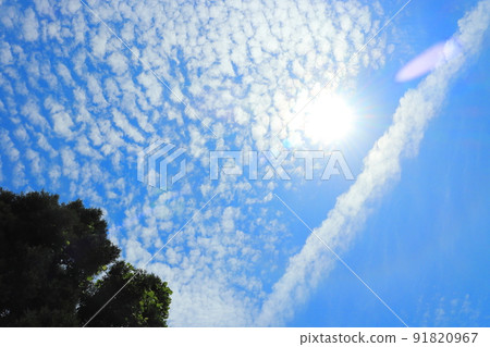藍天雲，凝結尾跡，太陽樹 91820967