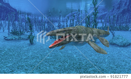 海洋生物 海洋生物 91821777