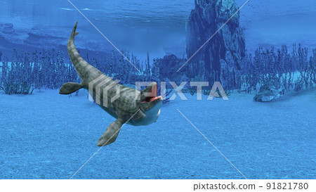 Marine life 91821780