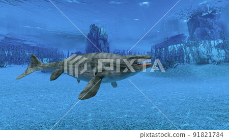 Marine life 91821784