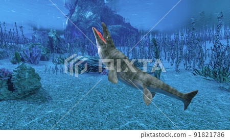 海洋生物 海洋生物 91821786